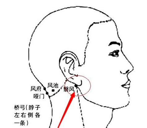 翼風穴|翳風穴 